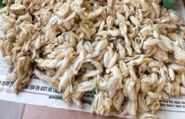 開発中のインナーパンツ